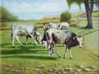 /album/animali/a82005-mucche-al-pascolo-43x32-jpg/